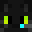 Skin head 72cb9347c6bdd702fe2cee5adea06e22