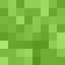 Skin head 78e5243e6404e606a20bcbcaa9d312dc