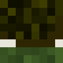 Skin head 791da4c466fe5bcdd3e584da4f62db08