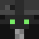 Skin head 82e082e3612a874e447c788a19e0bc7f