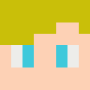 Skin head 84344719731aae2d9e058d617319f141