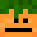 Skin head 870811b25ecb4118fda974c8c83a1ea9