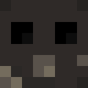 Skin head 871c45e60c0656bf5104ecae84e5cee3