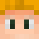 Skin head 8754603be882f2aaa116d8717ed934fd