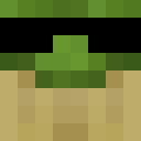 Skin head 8763b5769db57912d68f3dbad214d977