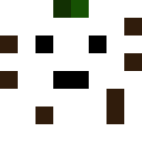 Skin head 9198c049afdaabd943e4da33d9587526