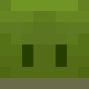 Skin head 976f8c0f905738cc9d7bc899c536a11c