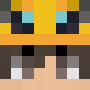 Skin head 9c259f9dca93c8435841841cf6546298