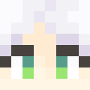 Skin head 9e01a9e920efb1368206916a231bcc28