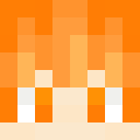 Skin head 9e88dcdbcb3bba97c67f0cf7a10af374