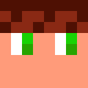 Skin head 9f96eda01b0e0813440b66fd79f16d65