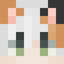 Skin head 9fdc3513097d47e00800aa2c6a77043e