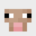 Skin head a48063bbc4c466182514366cd66a44f0