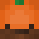 Skin head a6775bddb0d2c3bae6056a2615b2b695