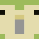 Skin head a832ae46cf18b07eb55a50aa9f22cd06