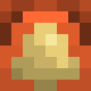Skin head ac3a4f9fc6caac48302f9cc354ed2041