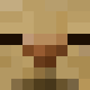 Skin head ac56f5af48508e08b43f865f704a6f32