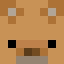 Skin head ae1f0813e9f56dd88da3cf467589f18d