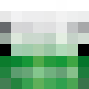 Skin head b070c7bd19011e9bec290c8f3ac18182