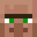 Skin head b14a415f62f747f5f0e766da9ed09825