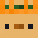 Skin head b618ac7dc17fea8e77fb6b392b0291c3