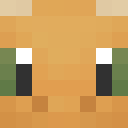 Skin head bb058042917f2486a3961619e8765741