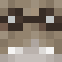 Skin head bf2c682e83dbc69d9d6a3529d4415337