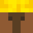 Skin head bfe20e6e887377ba732cb0bcd19d8778