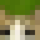 Skin head c0e8f21c695d0a99b5faeb57c2e71903