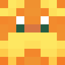 Skin head c3def12658b1a1047aca53dd212b9c57