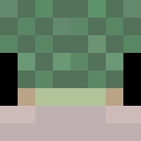 Skin head c676f4457b84d1a9ce03a93bea39cd17