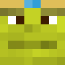 Skin head c798b011992a52ed124383b5bfc9e7fb