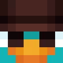 Skin head c8898e66274f0220fce041a976bf8934