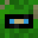 Skin head ca07c084848a442479c783bc3b5a5cfc
