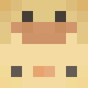 Skin head cda2da7429fa1f4c263b648150de1064