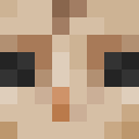 Skin head d00a7bd4a02807da3112ca8f98e30526
