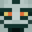 Skin head d21bef47d71627dfaf1f82ed2931d6cc
