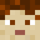Skin head d2dedf1a066430a223b80e45acc84aa8