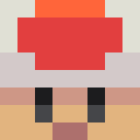Skin head d322c90c44f1b16635497f2da19936fb