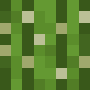 Skin head d4d4881933dca18e66406f322e19e910