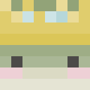 Skin head d66b9196fac850f4b82ec14af303d972