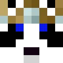 Skin head de12c487e09a4f8abae62eee385094ad