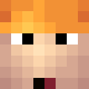 Skin head e289e451774905b211abb9dfaa8c4bc4