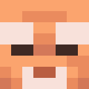 Skin head e666ae47fc5ced34980a5611cec037e0