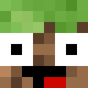Skin head e991fb2b757f48ab94a1d820188bb85b