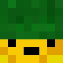 Skin head ea0d099b381993348f527a01bf44ab4c