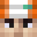 Skin head efaf7912b81d1947cf79e69693620109