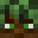 Skin head f3567e6a03cfe5a71a3314fc497c4e89