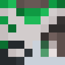 Skin head f3ae1a27f665f8519150eb5a34c6f49b