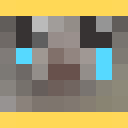 Skin head f4696032aa621100ff3db5611d990a04